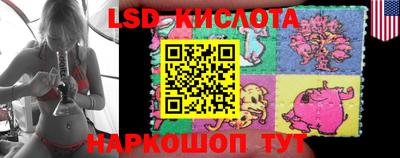 молекула духа Будённовск