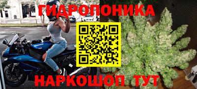 молекула духа Будённовск