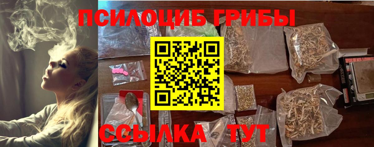 Псилоцибиновые грибы MAGIC MUSHROOMS  Псилоцибиновые грибы MAGIC MUSHROOMS  Малоярославец  Вход с VPN 