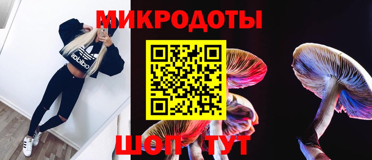 Псилоцибиновые грибы MAGIC MUSHROOMS Малоярославец